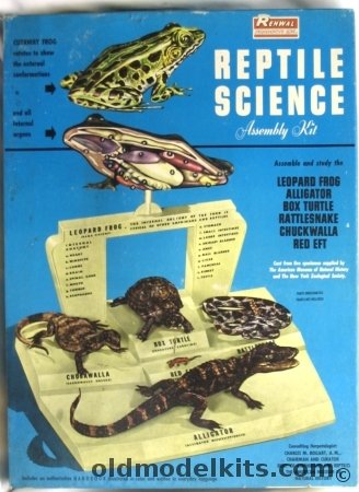 Renwal Reptile Science Leopard Frog/Alligator/Rattlesnake/Box Turtle/Chuckwalla/Red Eft, 808 plastic model kit